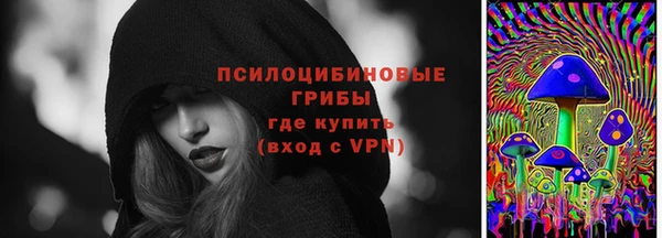 спиды Верея