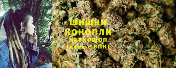 спиды Верея