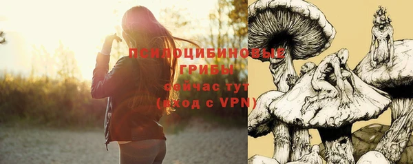 спиды Верея