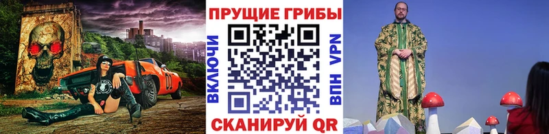 Купить  Миллерово  Галлюциногенные грибы Magic Shrooms 